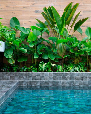 Azulejos de piedra verde Bali y piedra de lava para decoración de piscina.